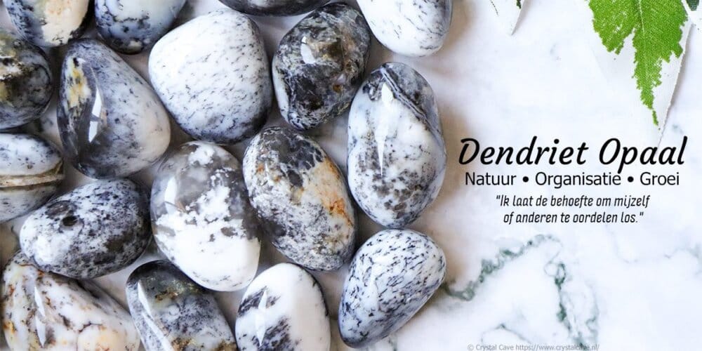 Category Header Image