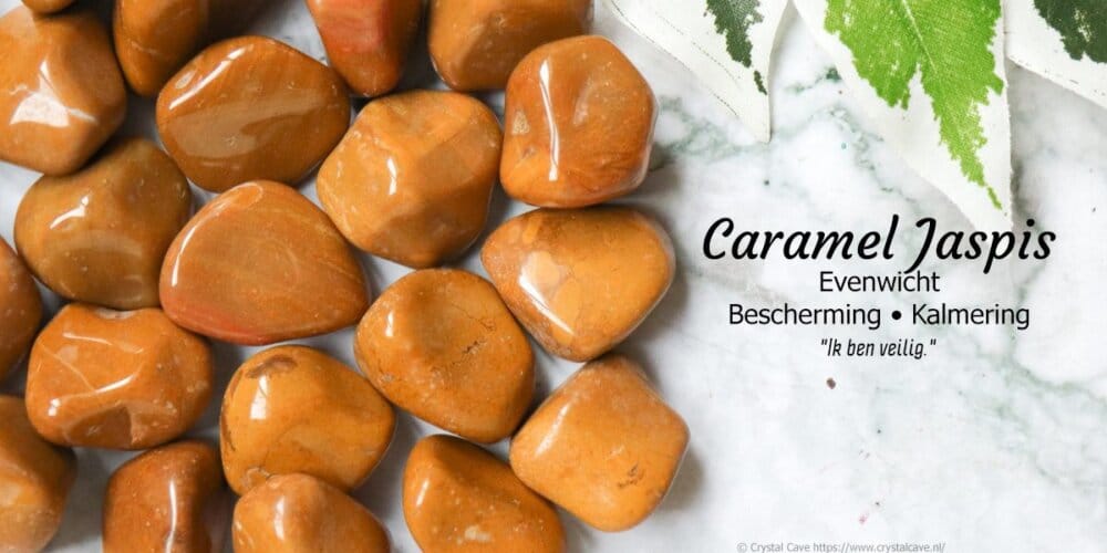 Category Header Image