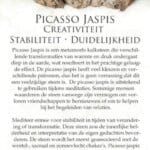 Picasso jaspis edelsteen kaartje - Crystal Cave