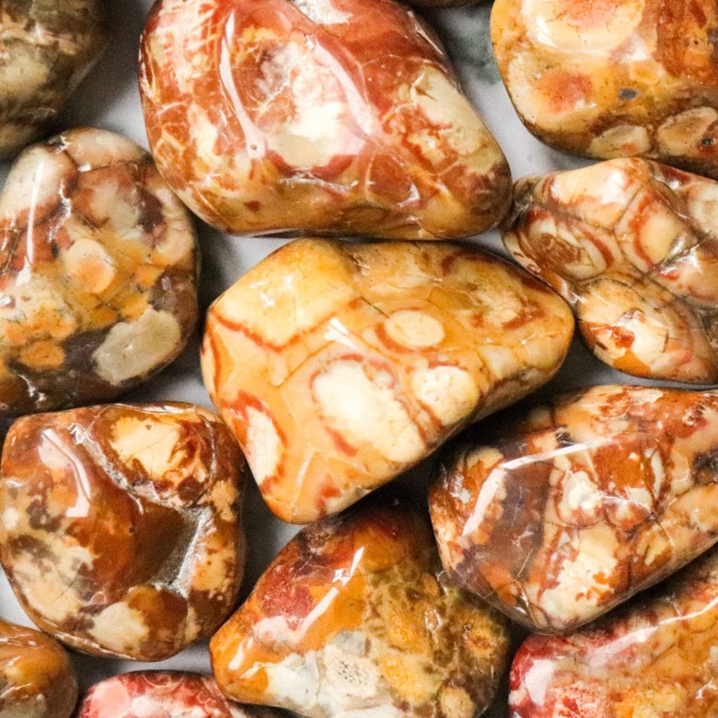 Edelstenen en Mineralen J 13 Birds eye jaspis - Crystal Cave