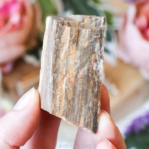 Ruwe versteend hout - Crystal Cave