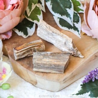 Ruwe versteend hout brok - Crystal Cave
