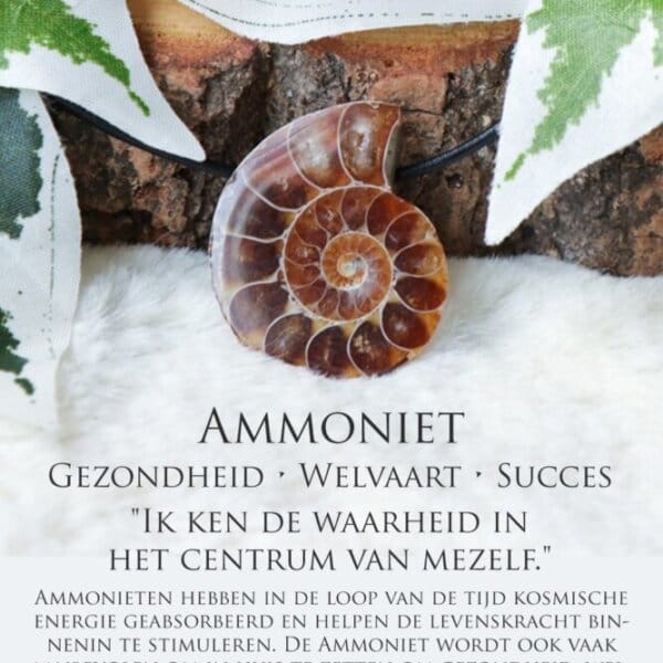 Ammoniet betekenis - Crystal Cave