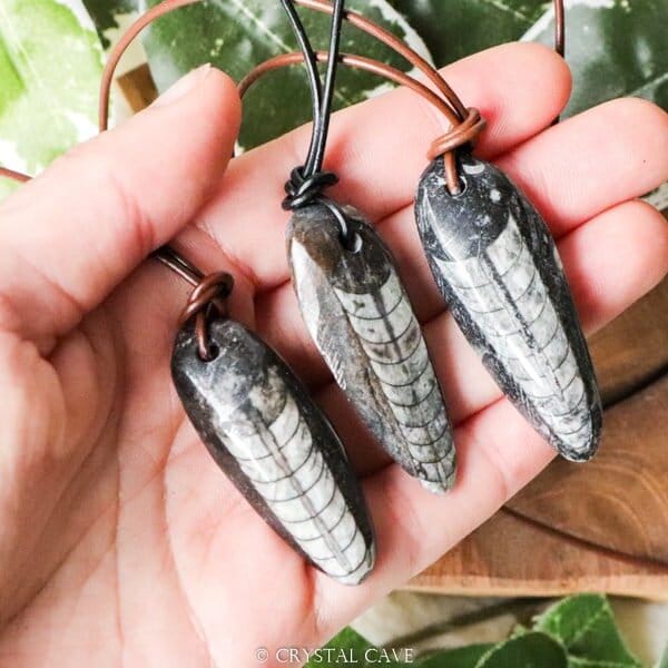 Orthoceras ketting - Crystal Cave