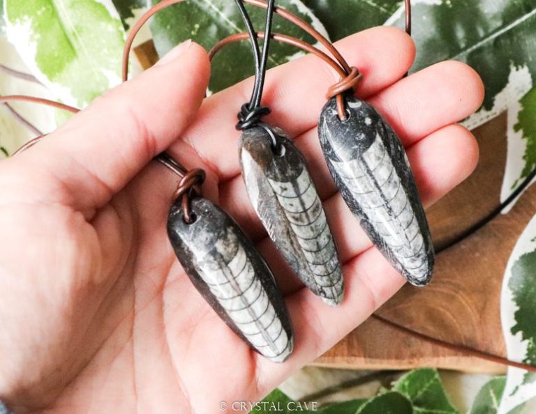 Orthoceras ketting - Crystal Cave