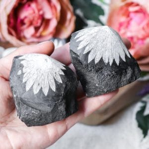 Ruwe chrysanthemum - Crystal Cave