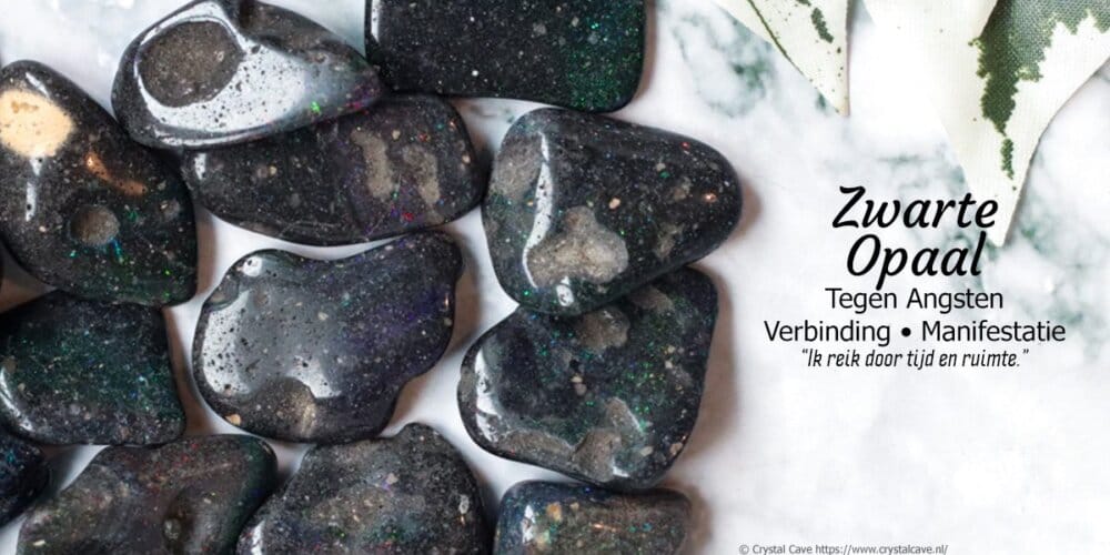 Category Header Image