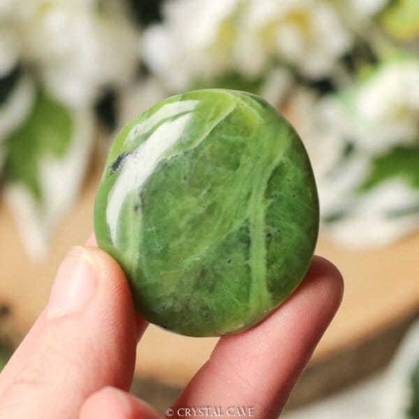 Nefriet jade cabochon - Crystal Cave