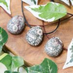 Fossiele zeelelie ketting - Crystal Cave
