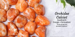 Orchidee calciet informatie - Crystal Cave