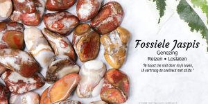 Fossiele jaspis informatie - Crystal Cave