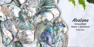 Abalone informatie - Crystal Cave