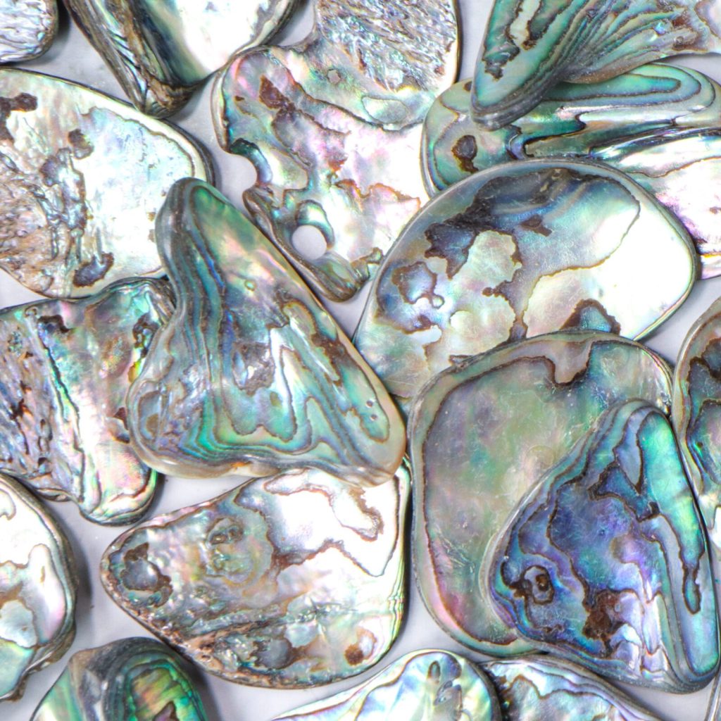 Edelstenen en Mineralen A 2 Abalone kopen - Crystal Cave