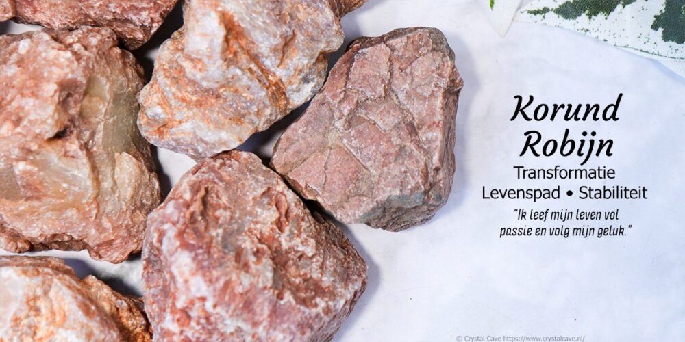 Category Header Image