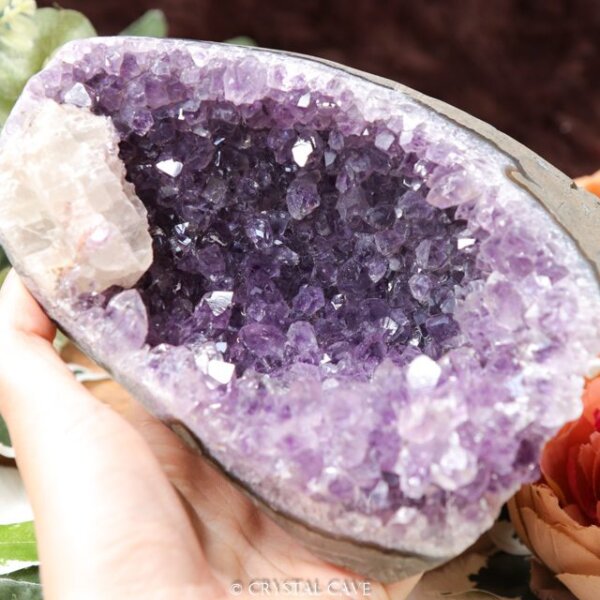 Speciale amethist kopen - Crystal Cave