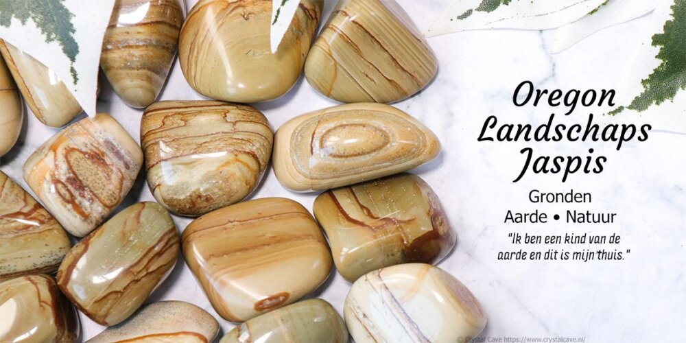 Category Header Image
