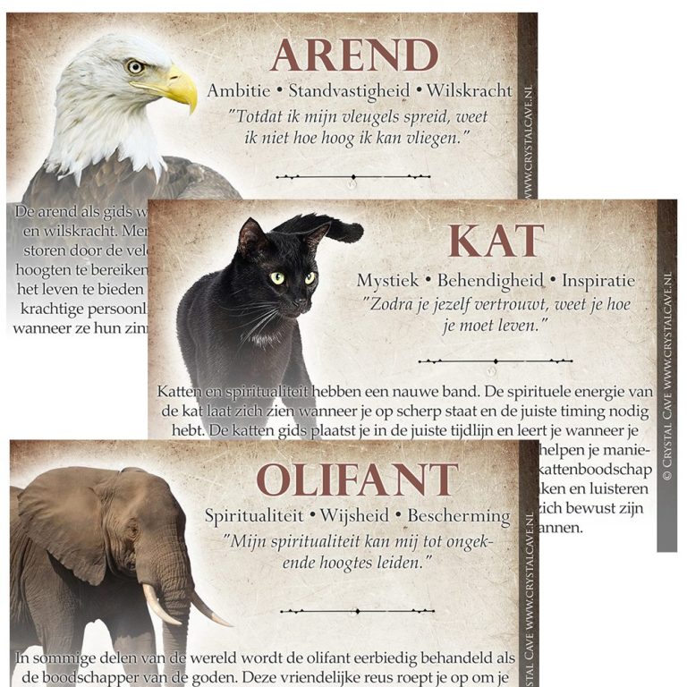 Spirit animal kaartjes NL - Crystal Cave