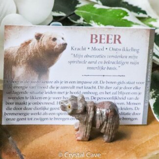 Beer krachtdier - Crystal Cave