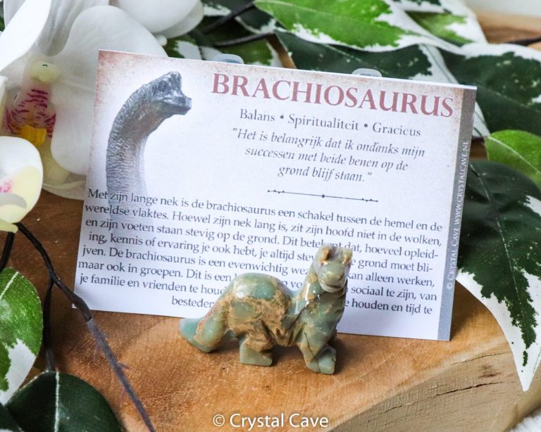 Brachiosaurus krachtdier - Crystal Cave