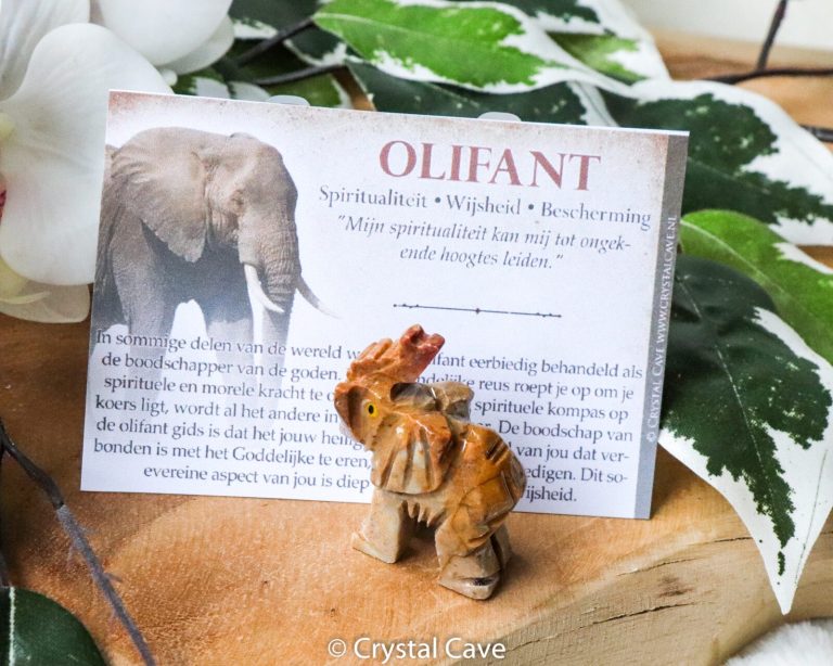 Olifant krachtdier - Crystal Cave