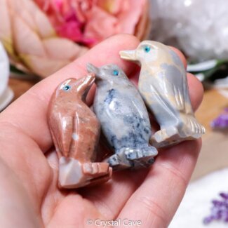 Penguin spirit animal - Crystal Cave
