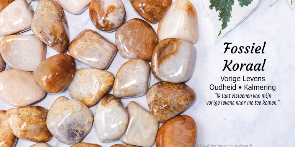 Category Header Image
