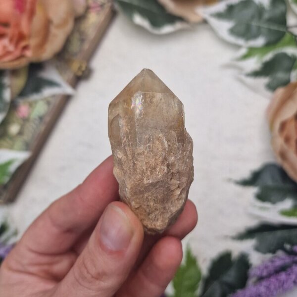 kundalini citrien 37