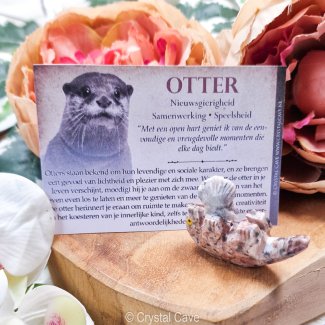 Speksteen Dier Otter