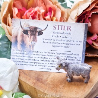 Speksteen Dier Stier