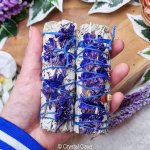blauwe sinuata smudge